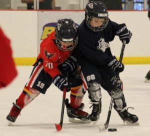 Learn All the Important Puckhandling Skills!